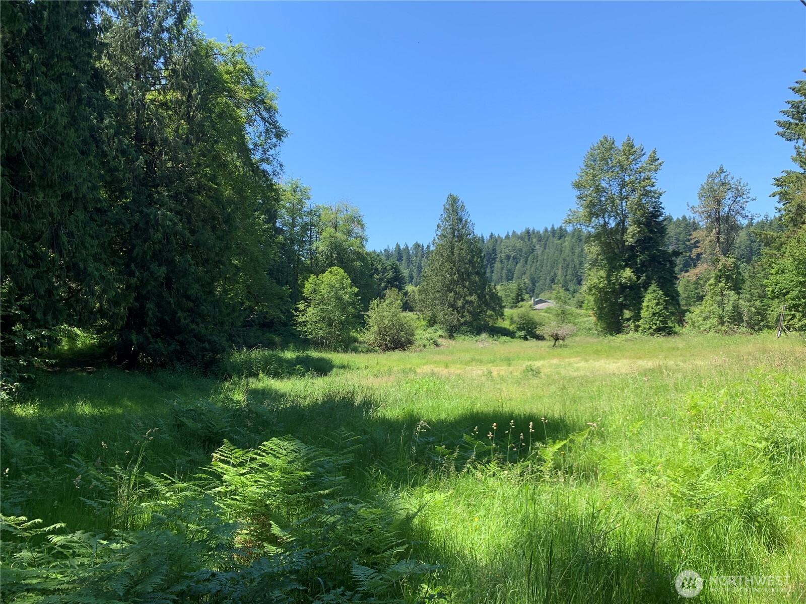 15412 A P Tubbs Road East Buckley, WA 98321 - Photo 8 of 35