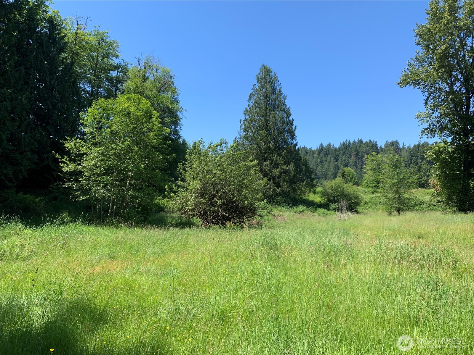 15412 A P Tubbs Road East Buckley, WA 98321 - Photo 9 of 35