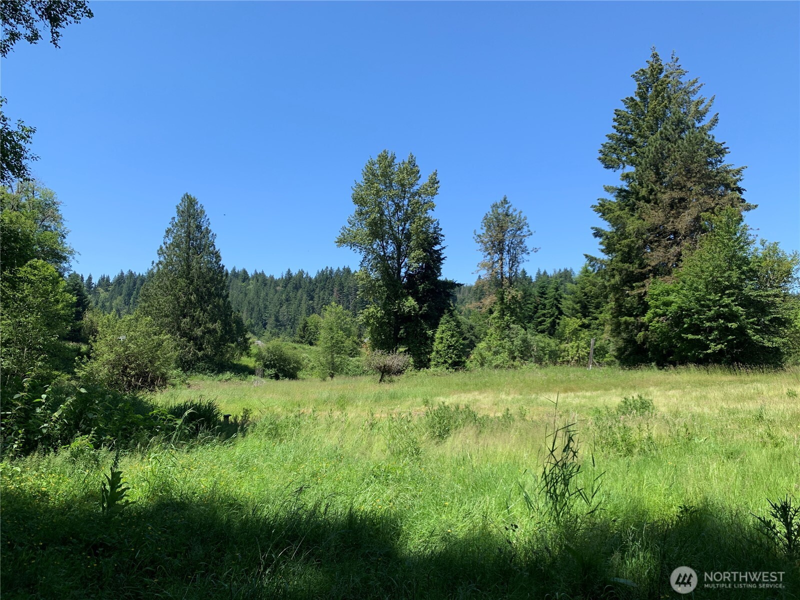 15412 A P Tubbs Road East Buckley, WA 98321 - Photo 10 of 35