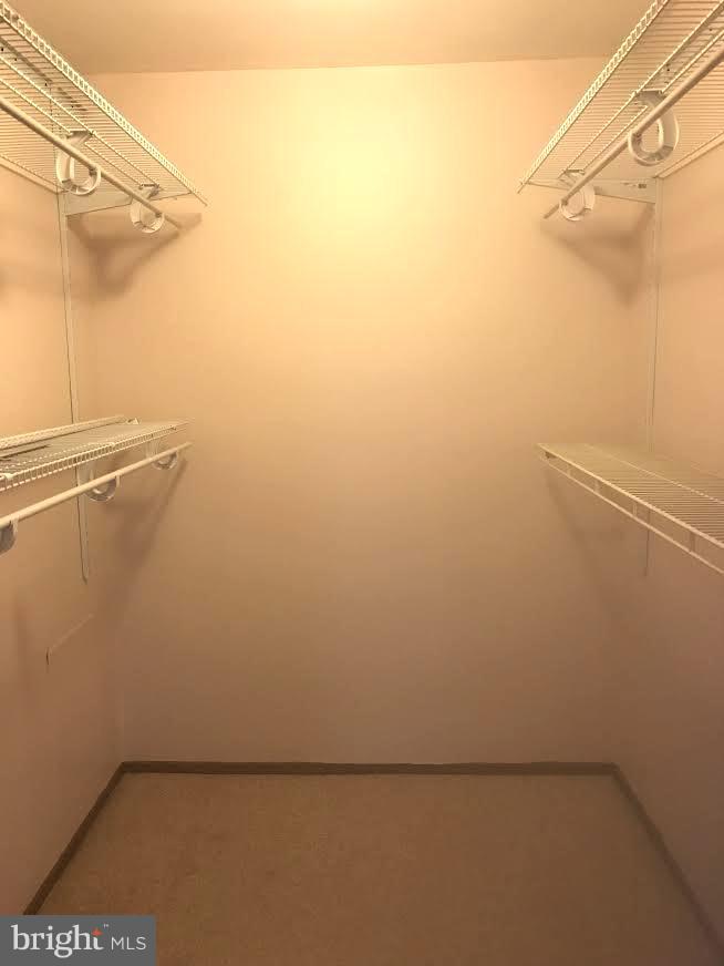 10024 Stedwick Road, Unit 304 Gaithersburg, MD 20886 - Photo 9 of 9 MBR walk-in closet