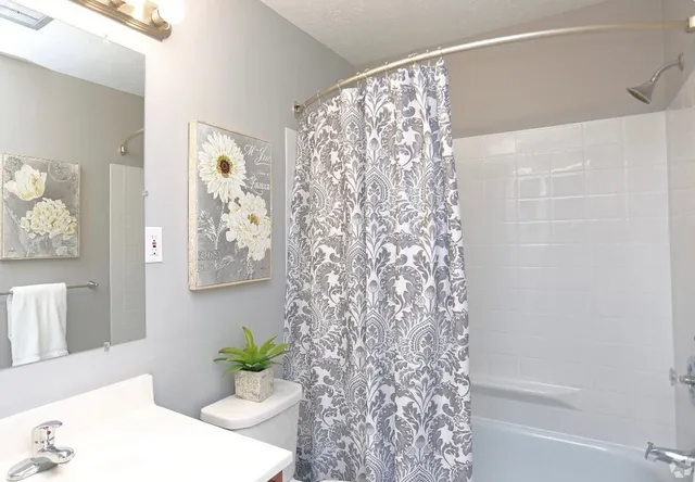 a view of a flower pot