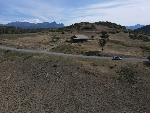 a view of a dry field with trees in the background