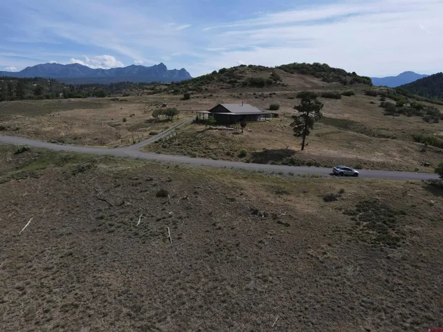 a view of a dry field with trees in the background