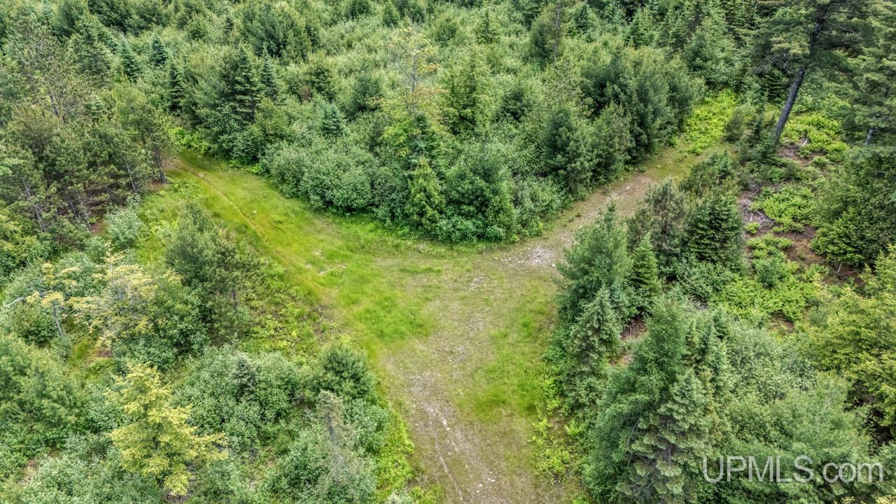 13.75 13.75 Road Escanaba, MI 49829 - Photo 8 of 16