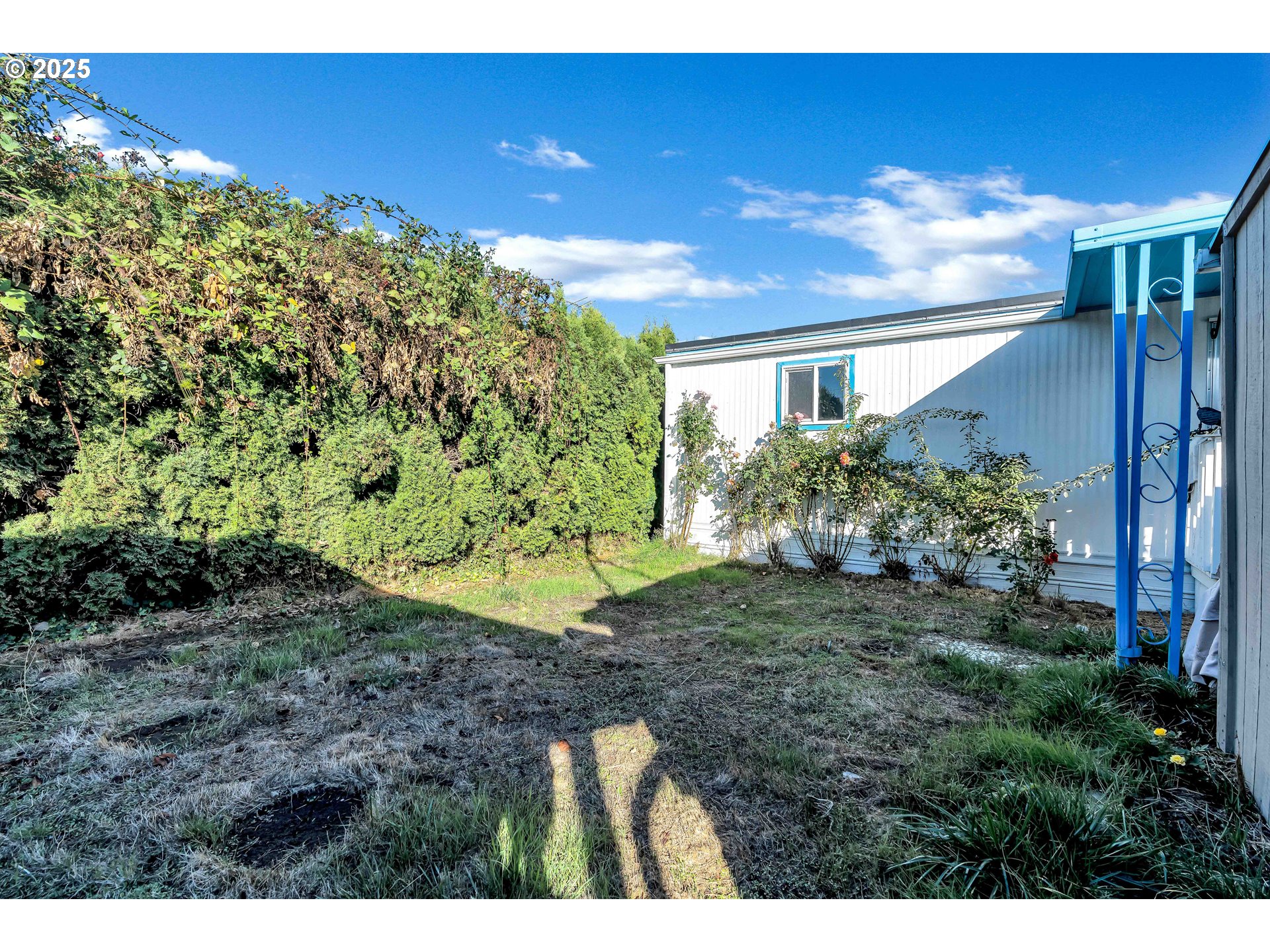 23 3364 Sunnyview Road Salem, OR 97301 - Photo 19 of 22 a view of a backyard