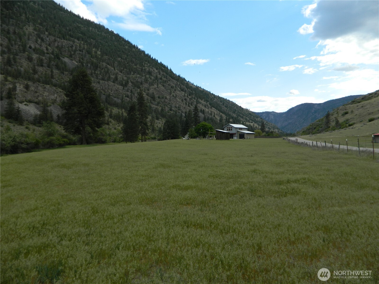 23 Allemandi Road Loomis, WA 98827 - Photo 4 of 23 a view of grassy field with mountain