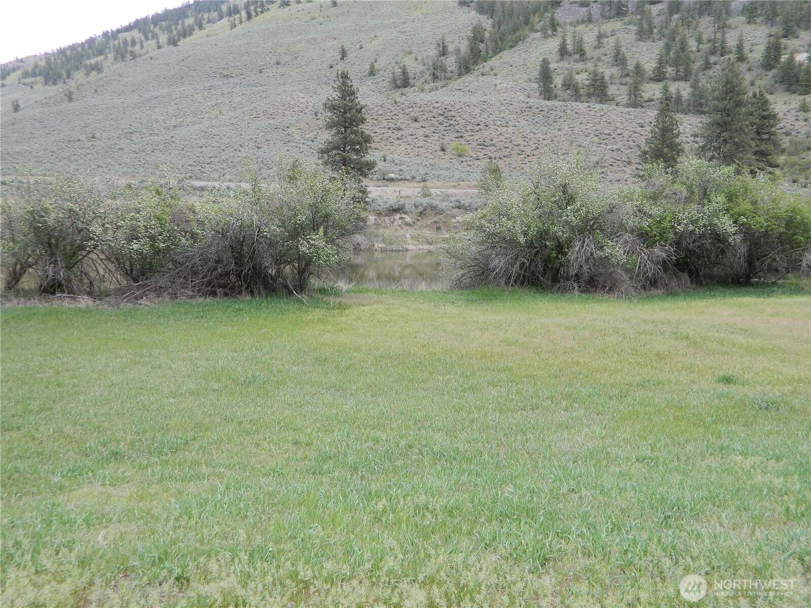 23 Allemandi Road Loomis, WA 98827 - Photo 5 of 23 a view of a field with an trees