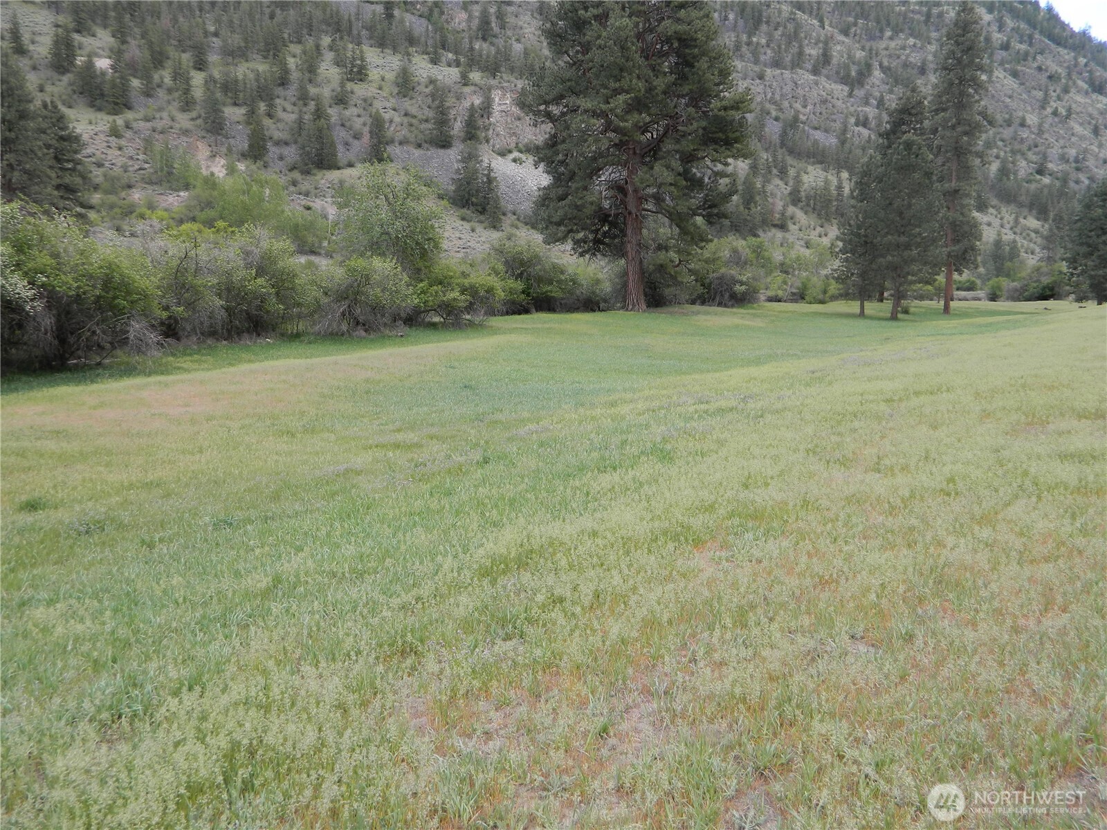 23 Allemandi Road Loomis, WA 98827 - Photo 6 of 23 a view of a field with trees in background