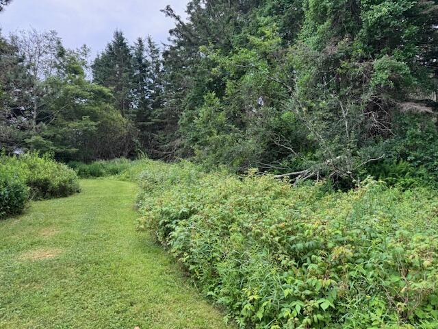 760 North Deer Isle Road Deer Isle, ME 04627 - Photo 13 of 20 Side yard