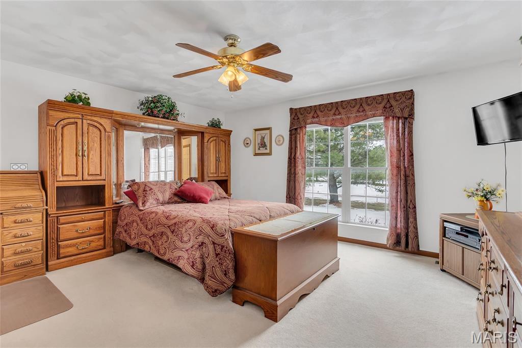 102 Eagle Court Waterloo, IL 62298 - Photo 15 of 44