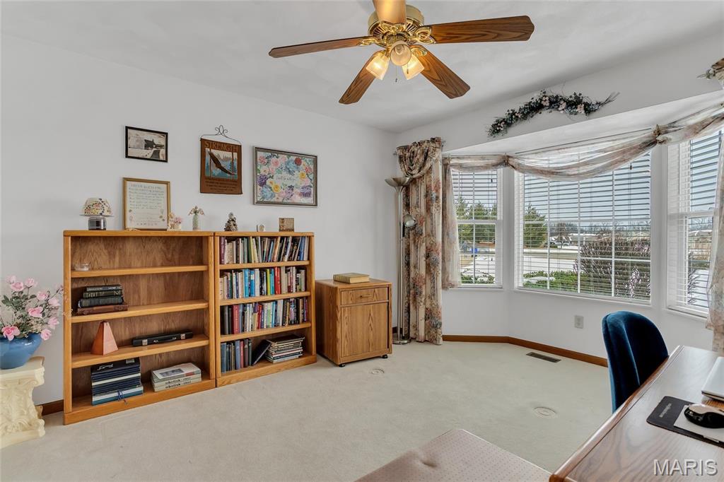 102 Eagle Court Waterloo, IL 62298 - Photo 19 of 44