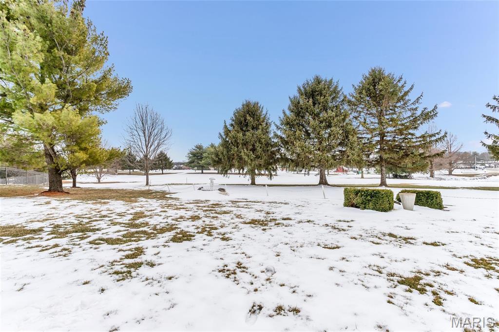 102 Eagle Court Waterloo, IL 62298 - Photo 35 of 44