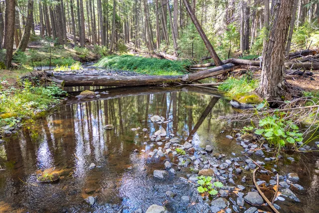 $244,900 | 8737 Battle Creek Drive, Shingletown, CA 96088