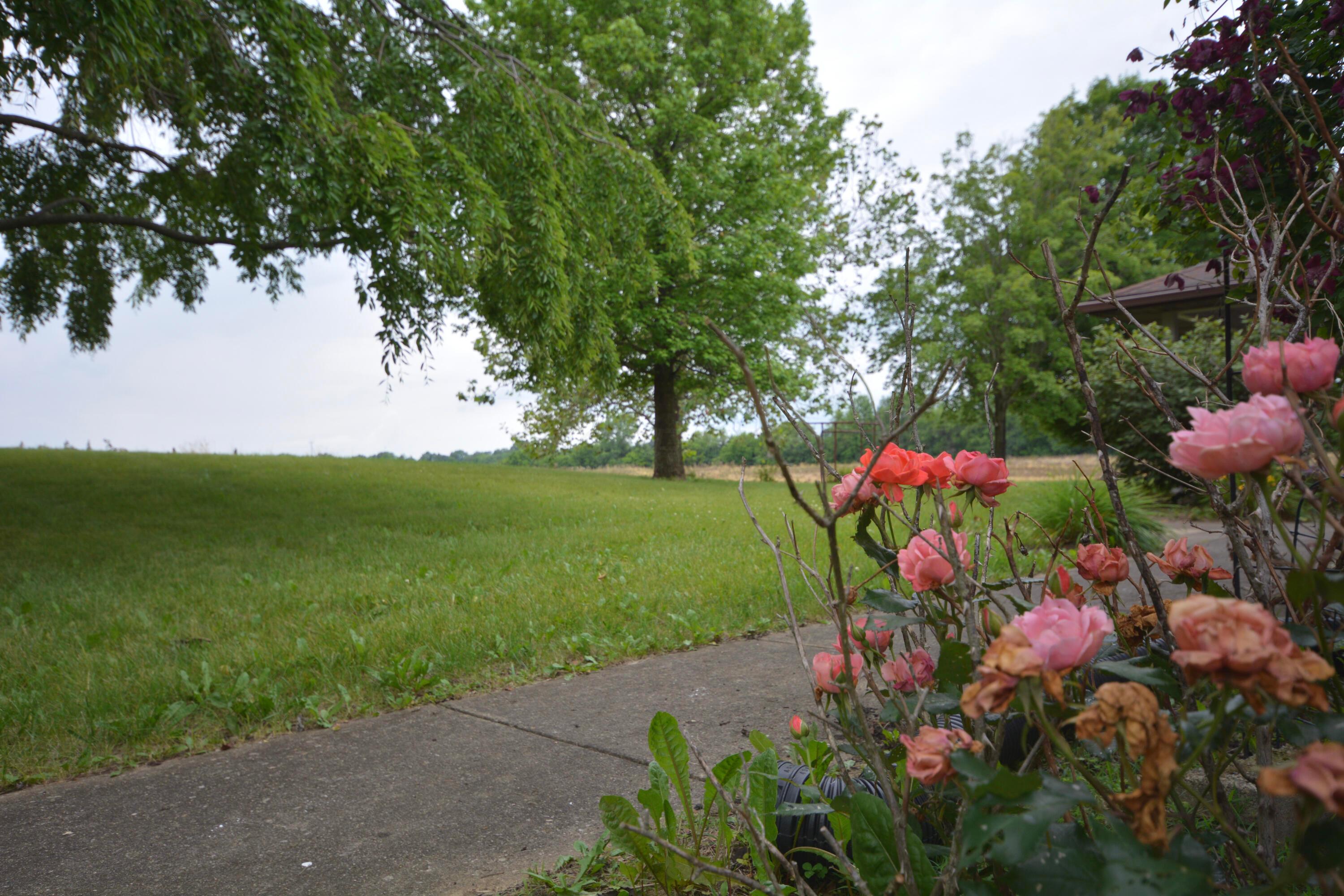 2987 Old Clifton Road Springfield, OH 45502 - Photo 82 of 107 99-DSC_0847