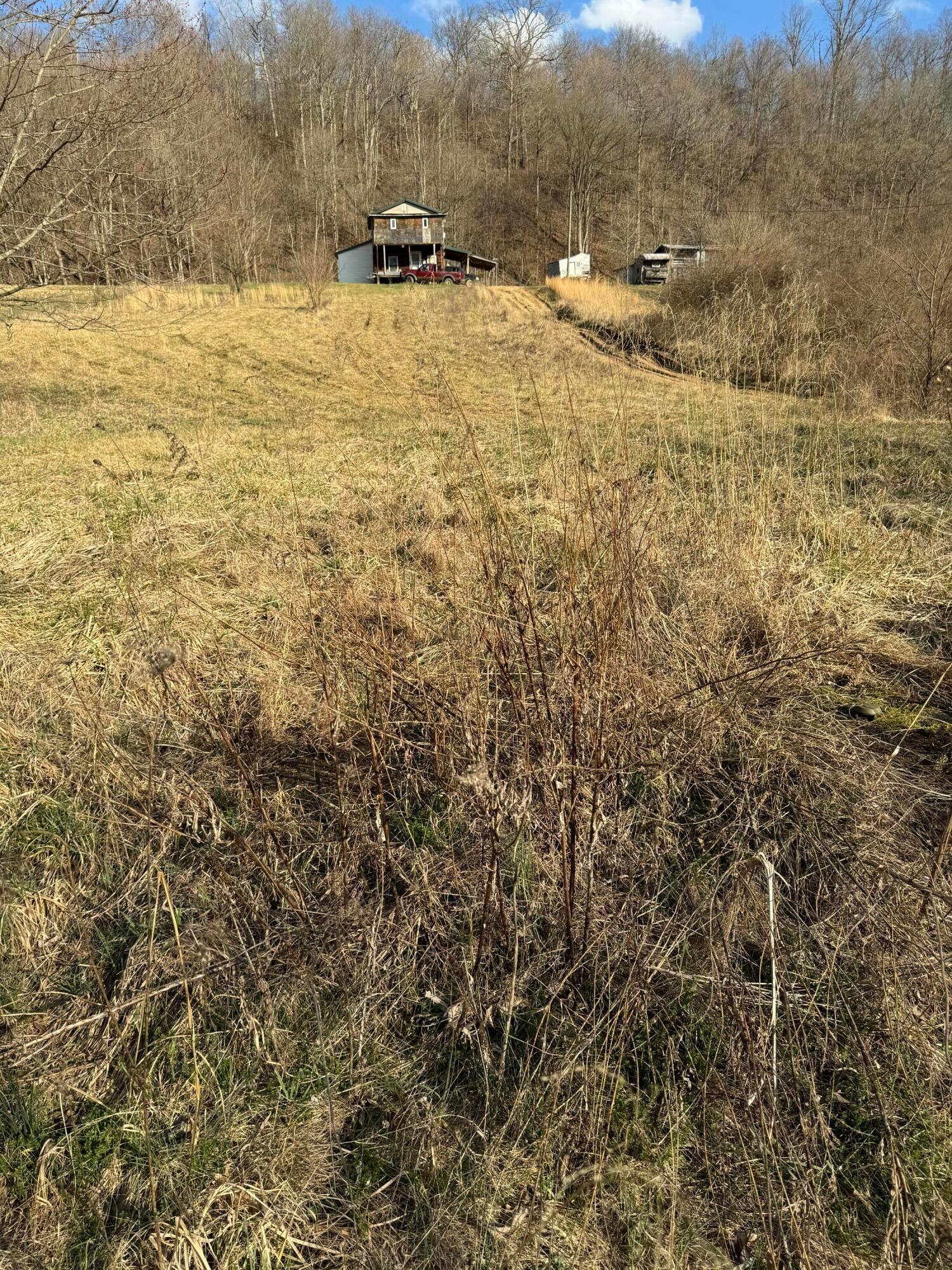 5730 Old Grade Road Chesterhill, OH 43728 - Photo 50 of 50 Septic Location