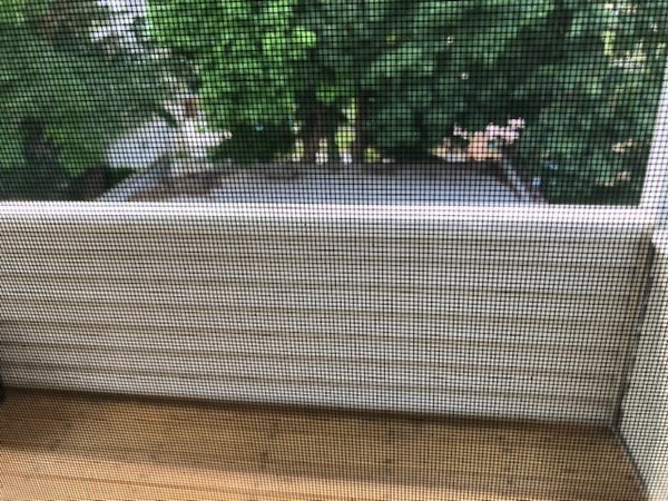 88 Oak Grove Avenue Springfield, MA 01109 - Photo 23 of 26