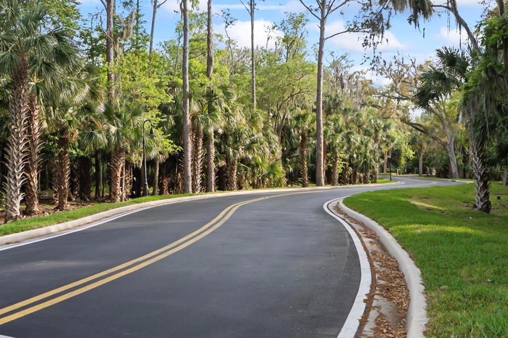 100 Canopy Walk Lane, Unit 133 Palm Coast, FL 32137 - Photo 33 of 51 a view of a park with large trees