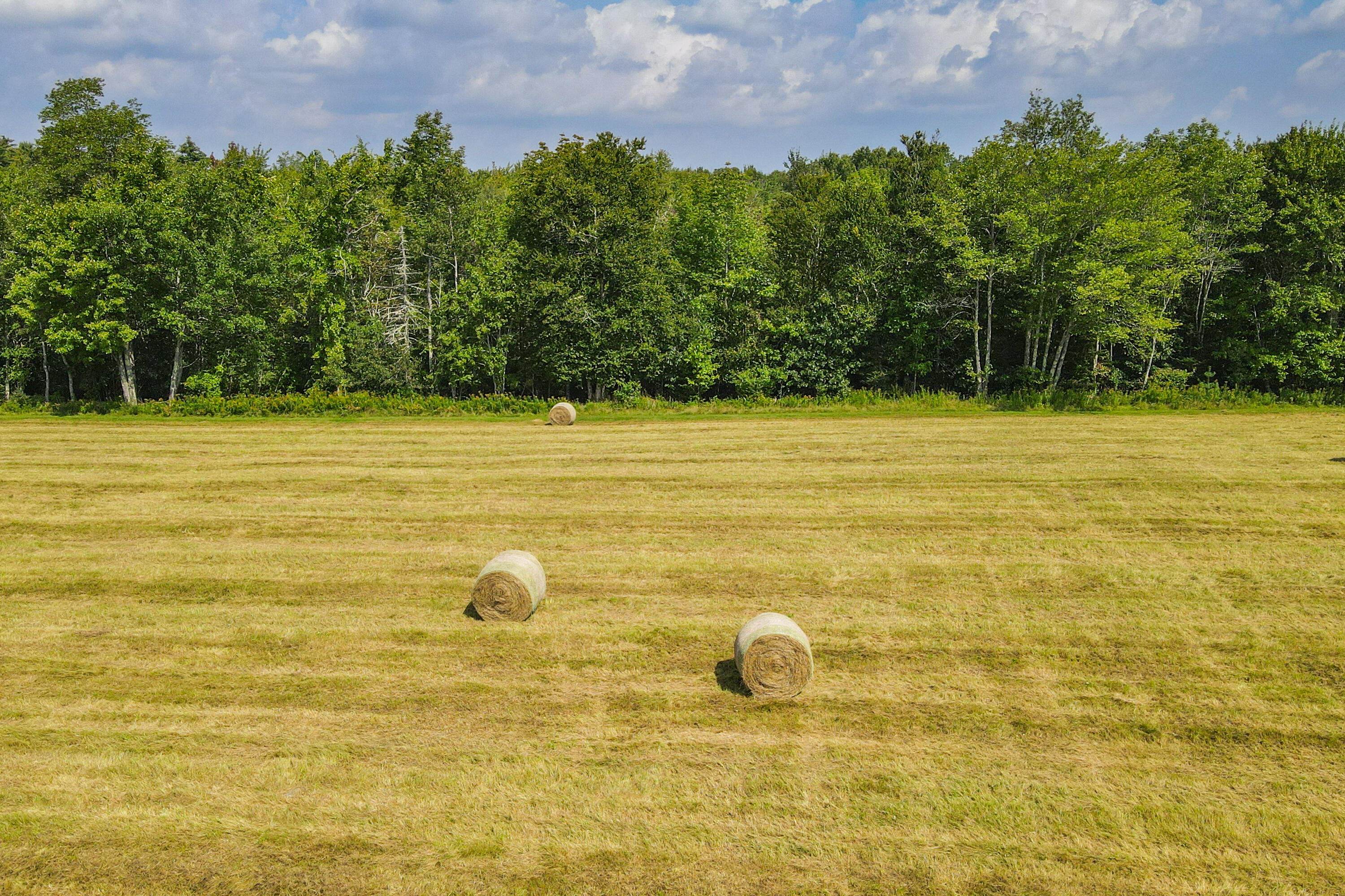 101 Fowles Road Searsmont, ME 04973 - Photo 48 of 50 49-101FowlesRd-Searsmont-KS
