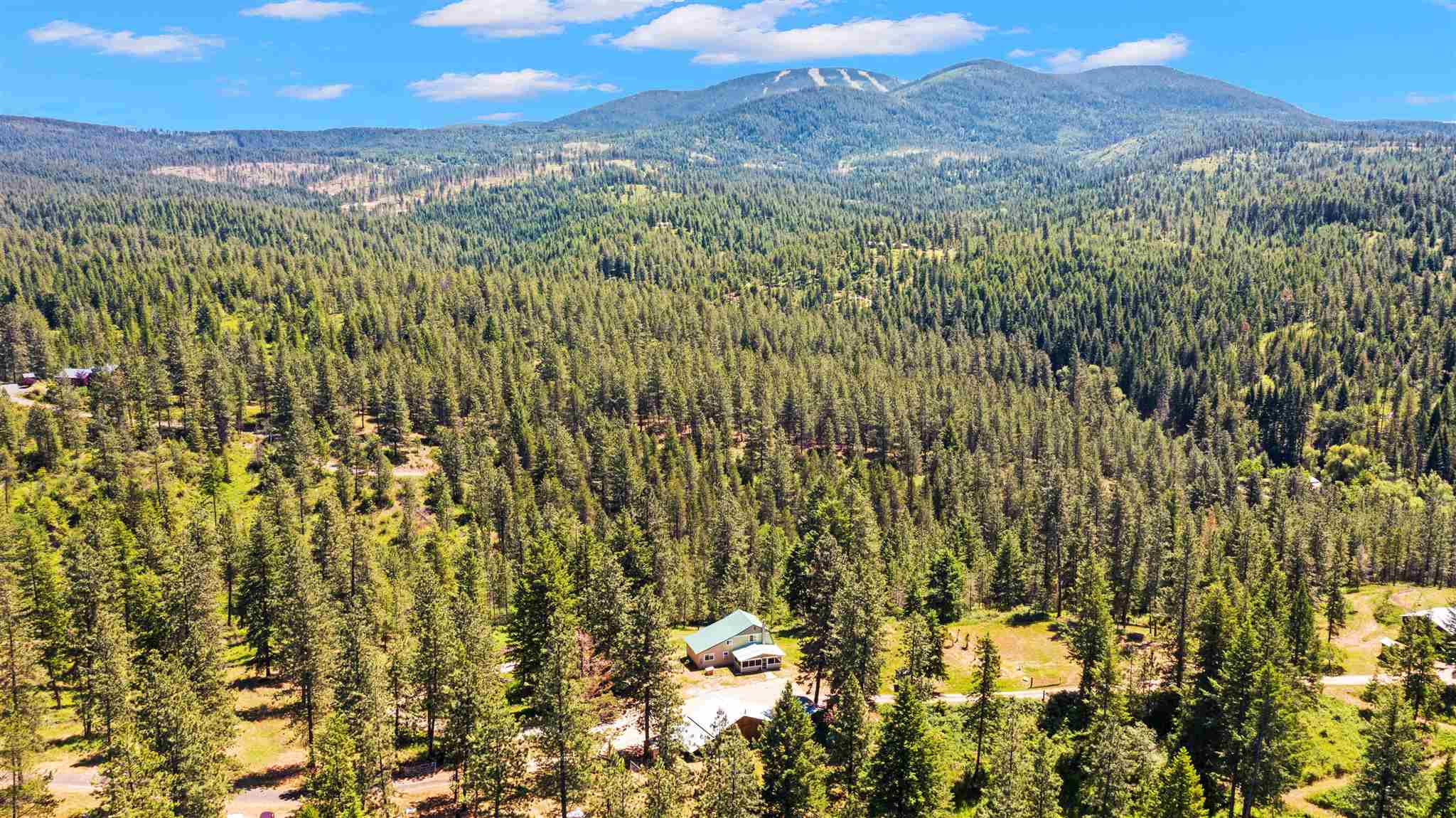 14915 East Laurel Road Elk, WA 99009 - Photo 4 of 23