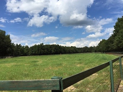 623 Jones Bridge Road North, SC 29112 - Photo 46 of 48