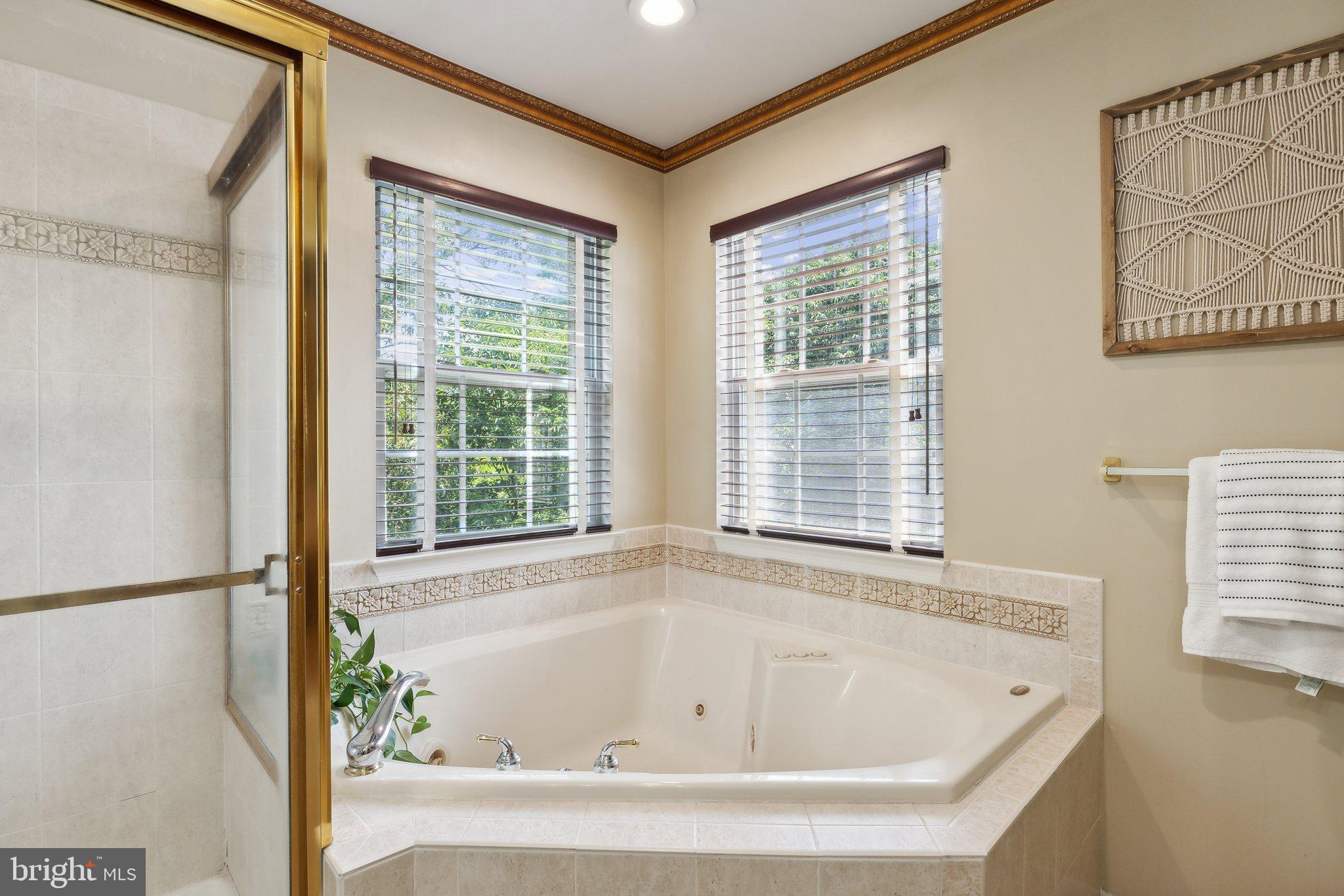 82 Two Rivers Drive Edgewater, MD 21037 - Photo 24 of 46 Jacuzzi tub and separate shower