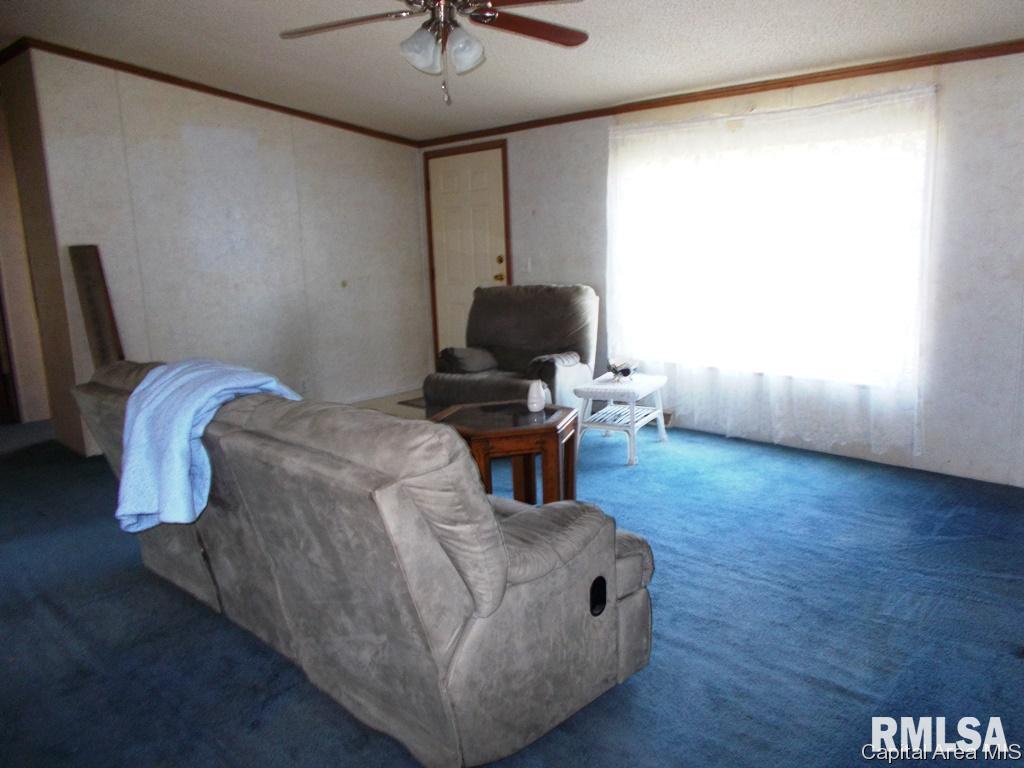120 Evergreen Street Raritan, IL 61471 - Photo 12 of 15 Gallery Image 12