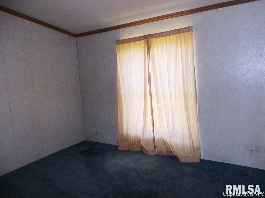 120 Evergreen Street Raritan, IL 61471 - Photo 3 of 15 Gallery Image 3