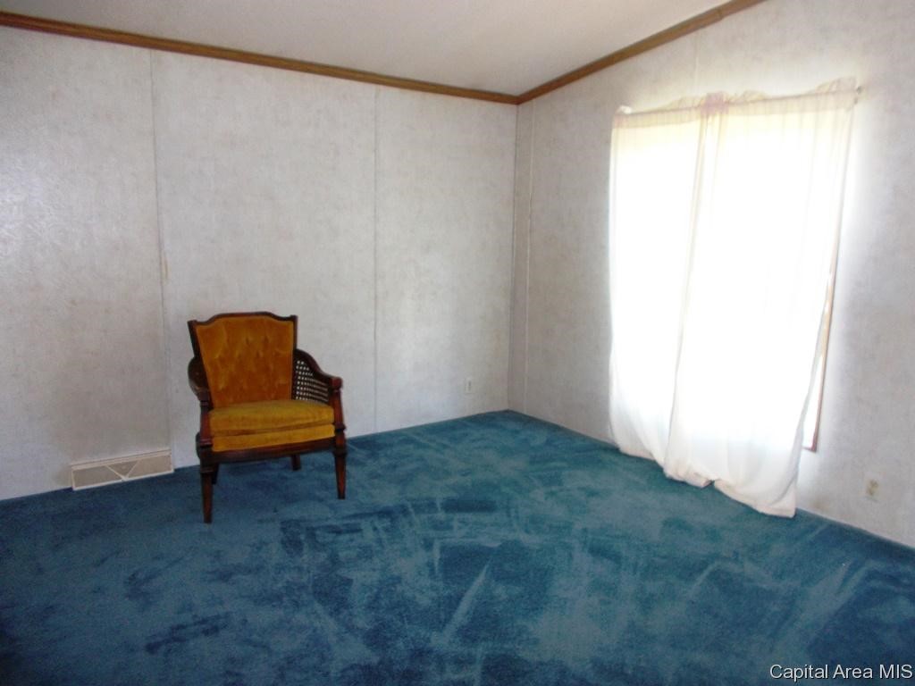 120 Evergreen Street Raritan, IL 61471 - Photo 4 of 15 Gallery Image 4