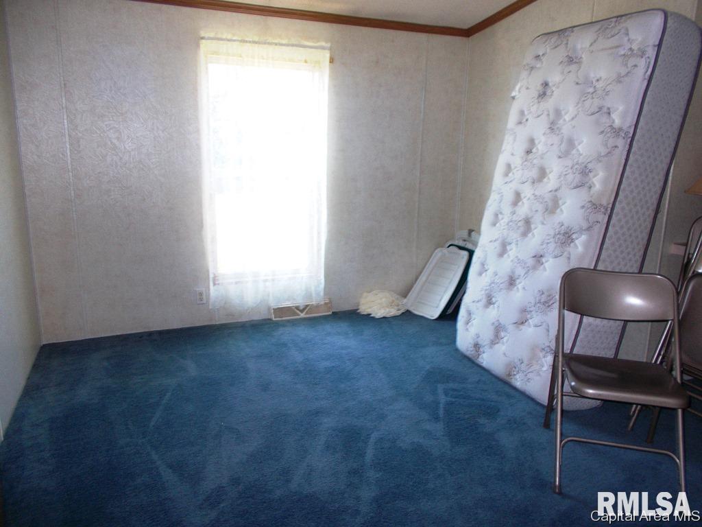 120 Evergreen Street Raritan, IL 61471 - Photo 5 of 15 Gallery Image 5