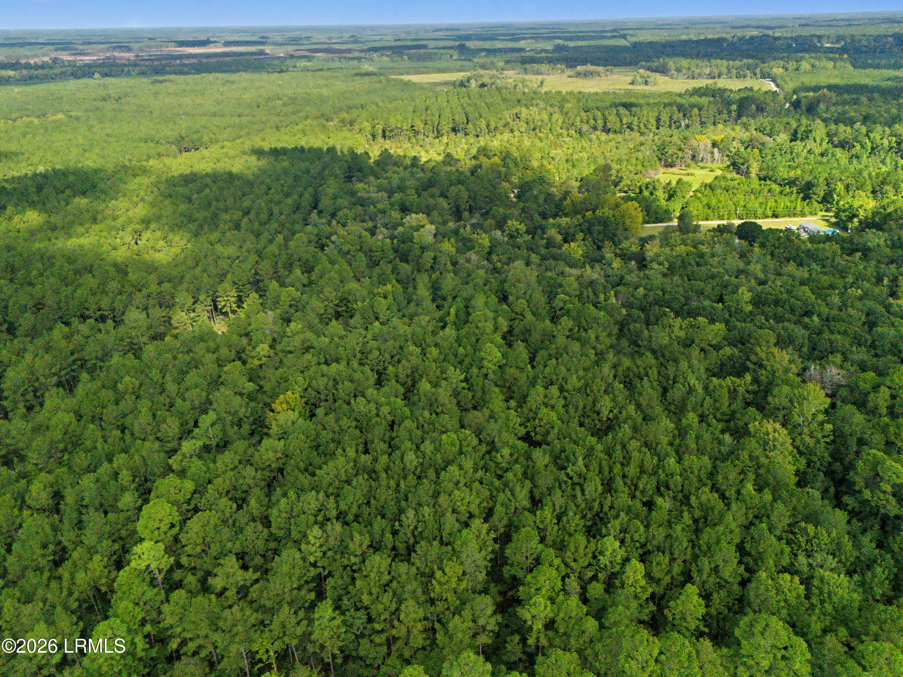 0 Tree Farm Road Walterboro, SC 29488 - Photo 20 of 30 DJI_20260921230033_0327_D