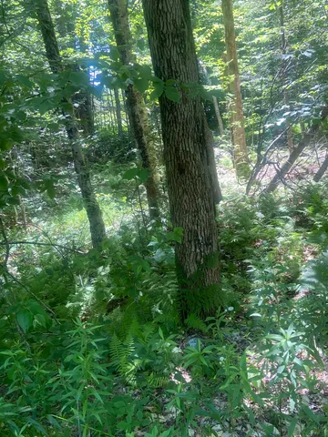 $249,000 | 88 Cedar Lane, Unit 5, Peru, VT 05152