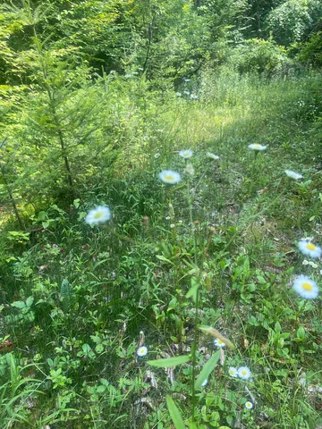 $249,000 | 88 Cedar Lane, Unit 5, Peru, VT 05152