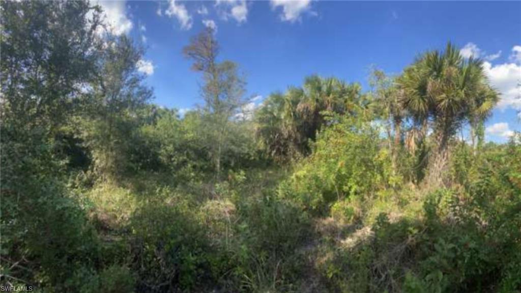 0 Golden Gate Boulevard East Naples, FL 34120 - Photo 15 of 18 a view of a yard