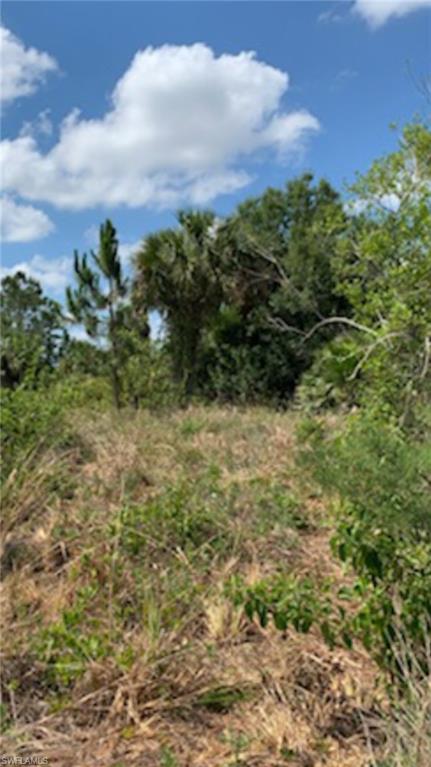 0 Golden Gate Boulevard East Naples, FL 34120 - Photo 7 of 18 a view of a bunch of trees and bushes