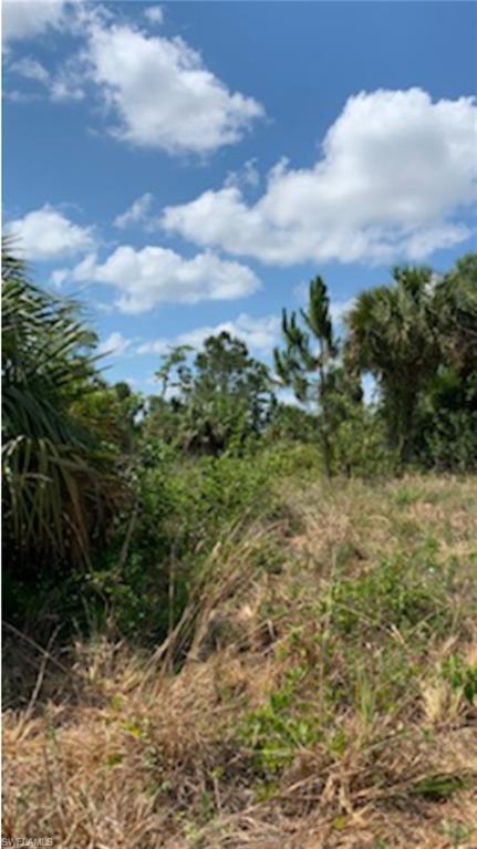 0 Golden Gate Boulevard East Naples, FL 34120 - Photo 8 of 18 a view of a yard with plants and a bench