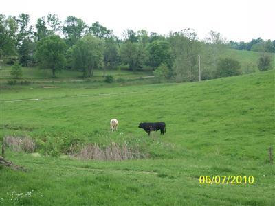 804 Roseberry Road Carlisle, KY 40311 - Photo 3 of 12 Photo 3