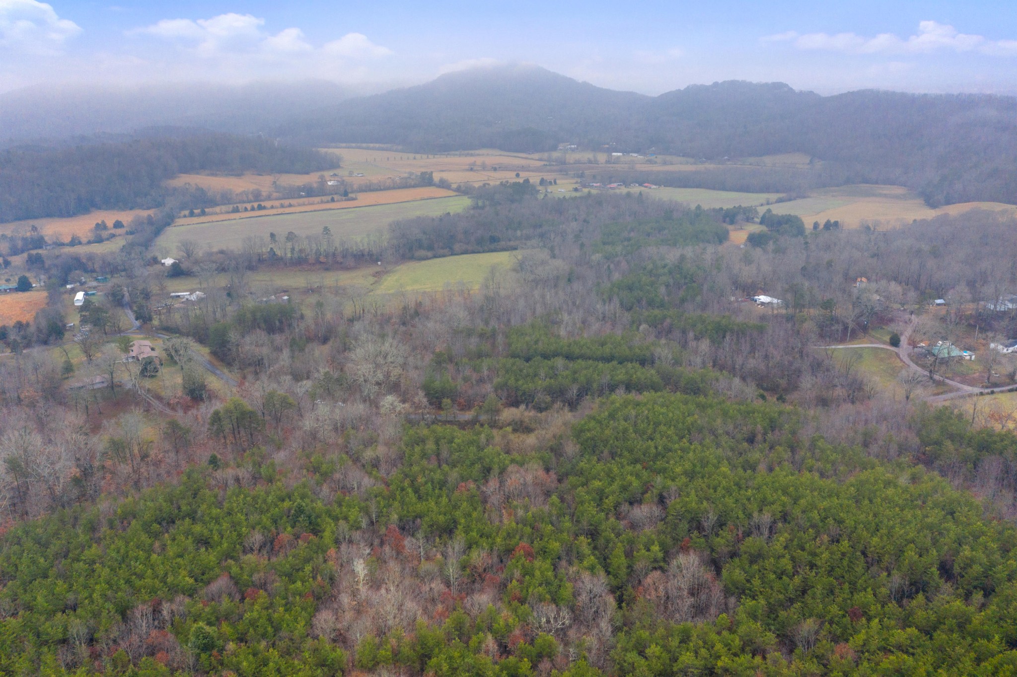 0 Baker Road Tellico Plains, TN 37385 - Photo 18 of 31 Gallery Image 18