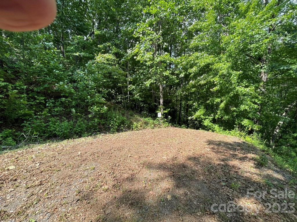 0 Hooper Cemetery Road, Unit 22 Cullowhee, NC 28723 - Photo 3 of 20 Gallery Image 3