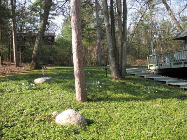 6287 Cheyenne Road Pentwater, MI 49449 - Photo 53 of 57 IMG_3324