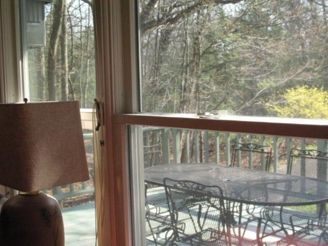 6287 Cheyenne Road Pentwater, MI 49449 - Photo 7 of 57 IMG_3381