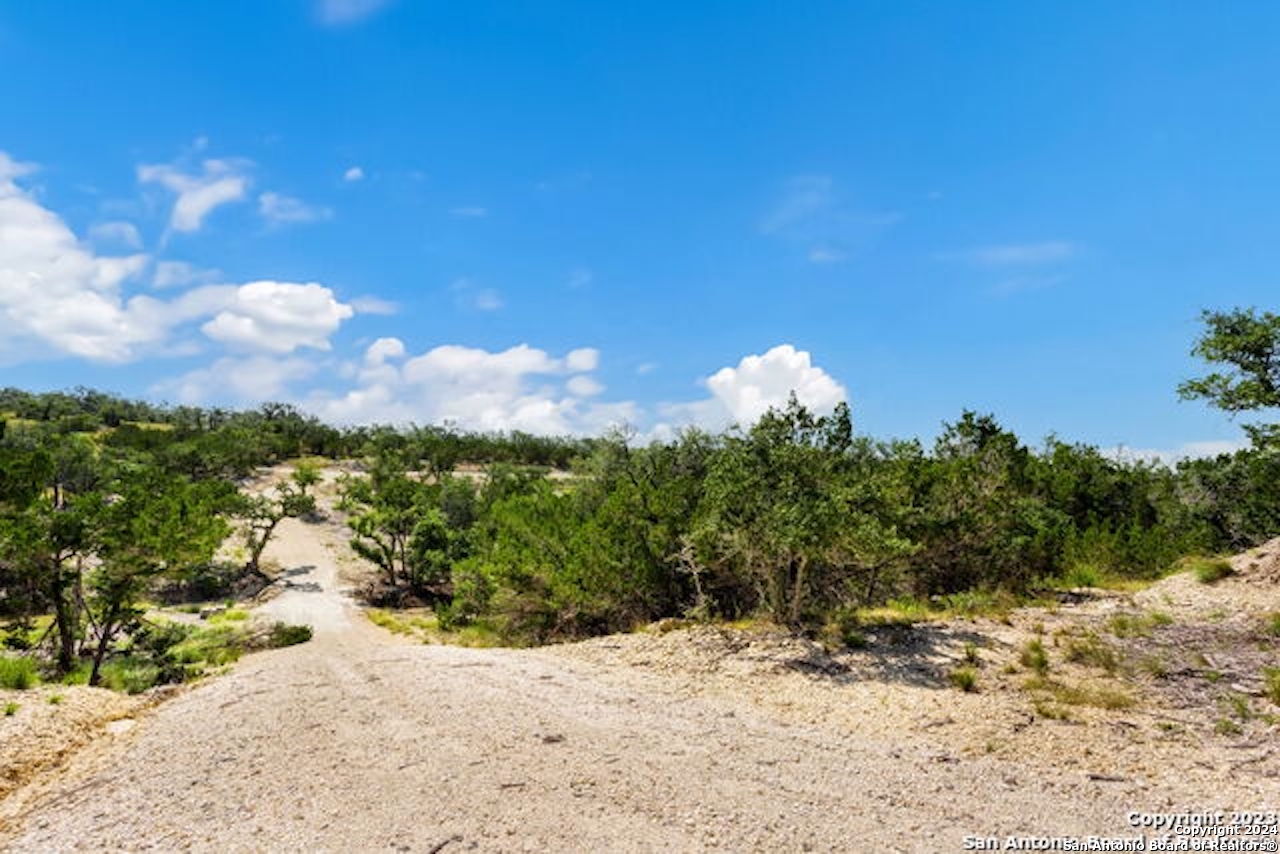 472 Stallion Estates Drive Spring Branch, TX 78070 - Photo 4 of 15