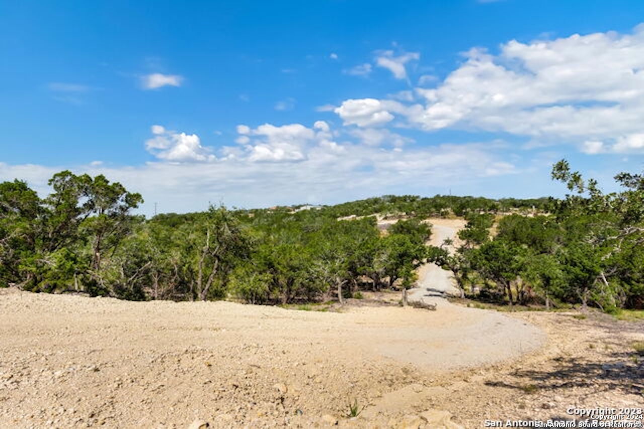 472 Stallion Estates Drive Spring Branch, TX 78070 - Photo 5 of 15