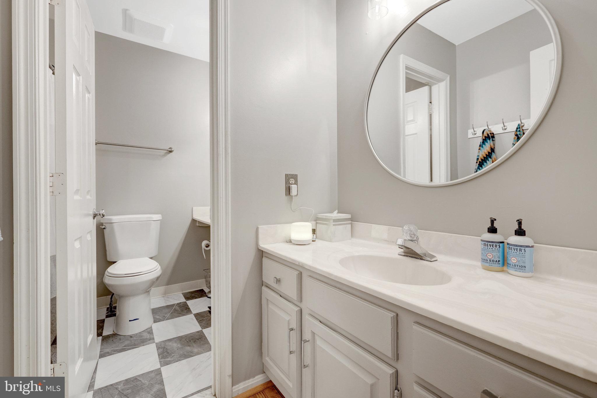 44116 Bristow Circle Ashburn, VA 20147 - Photo 49 of 79 a bathroom with a sink mirror and toilet