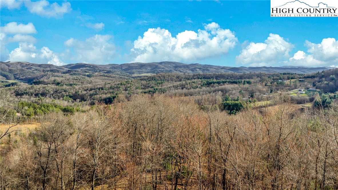 871 Lower Nettle Knob Road West Jefferson, NC 28694 - Photo 3 of 47