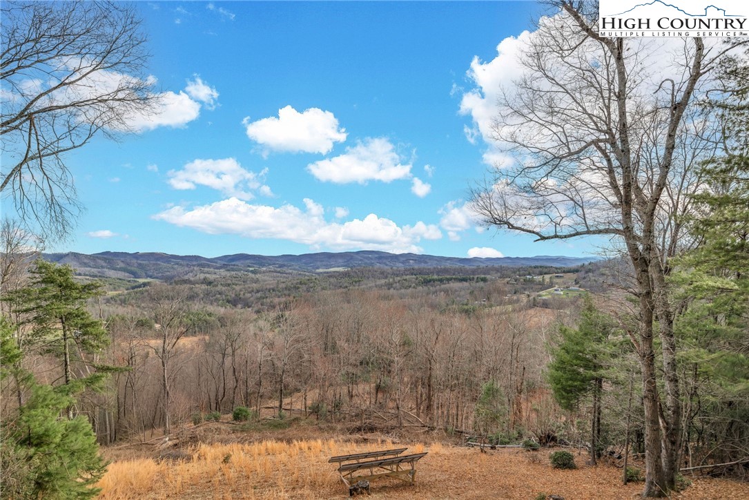 871 Lower Nettle Knob Road West Jefferson, NC 28694 - Photo 4 of 47