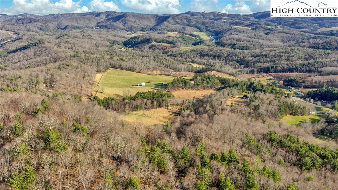 871 Lower Nettle Knob Road West Jefferson, NC 28694 - Photo 41 of 47