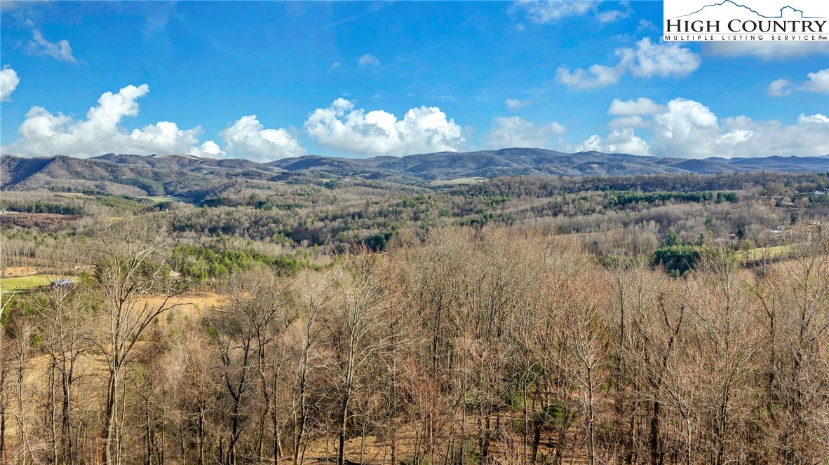 871 Lower Nettle Knob Road West Jefferson, NC 28694 - Photo 43 of 47