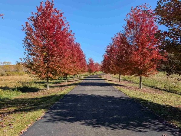 $1,999,500 | 596 Hillcrest Lane, Brooklyn, WI 53521