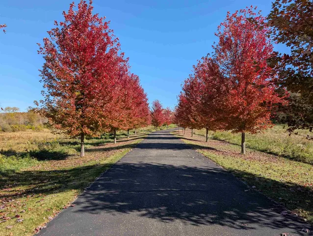 $1,999,500 | 596 Hillcrest Lane, Brooklyn, WI 53521