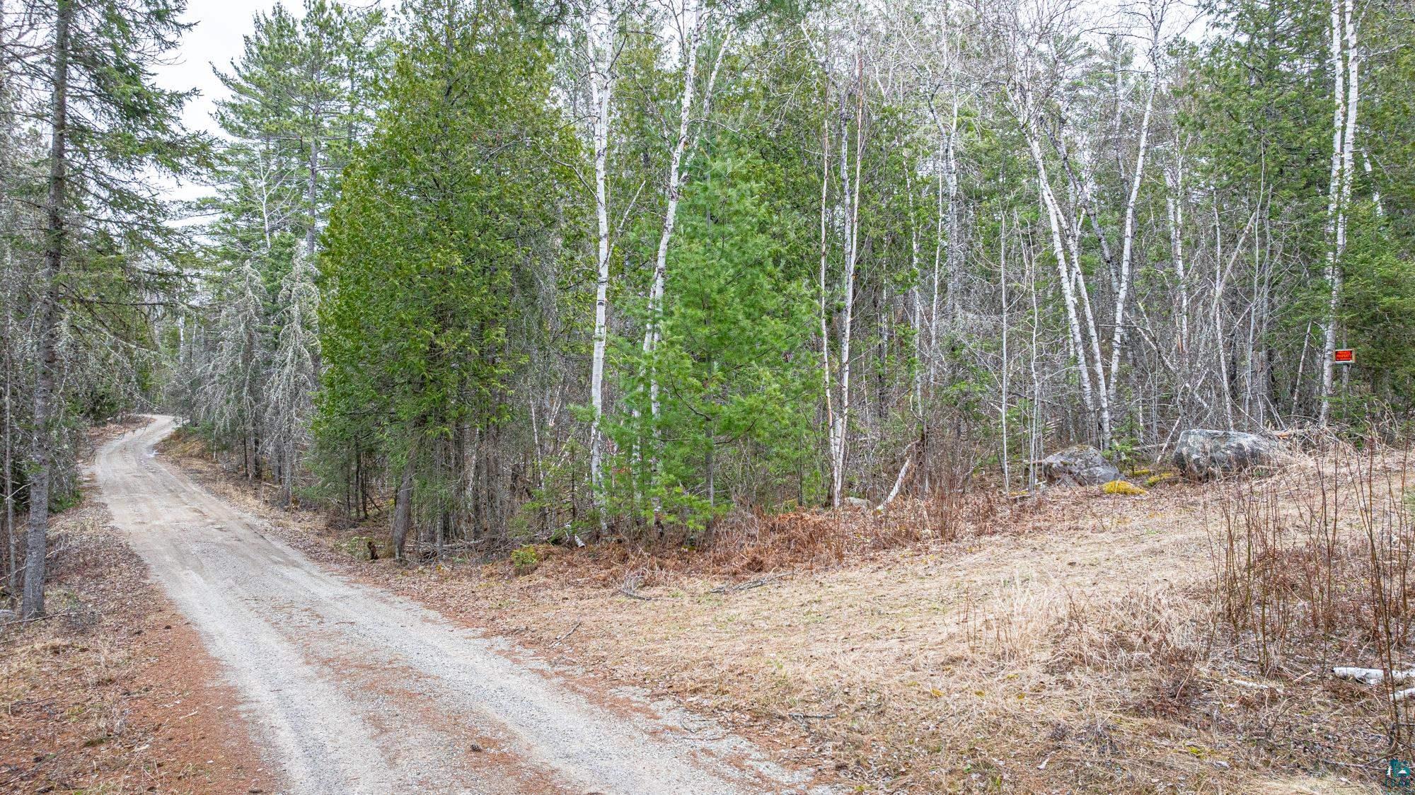 Tbd Lindbeck Road Ely, MN 55731 - Photo 4 of 44